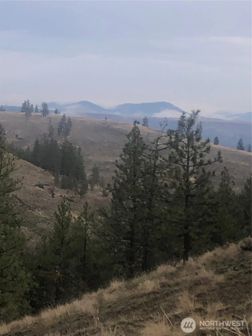30991 Pine Hen Lane E Davenport, WA 99122