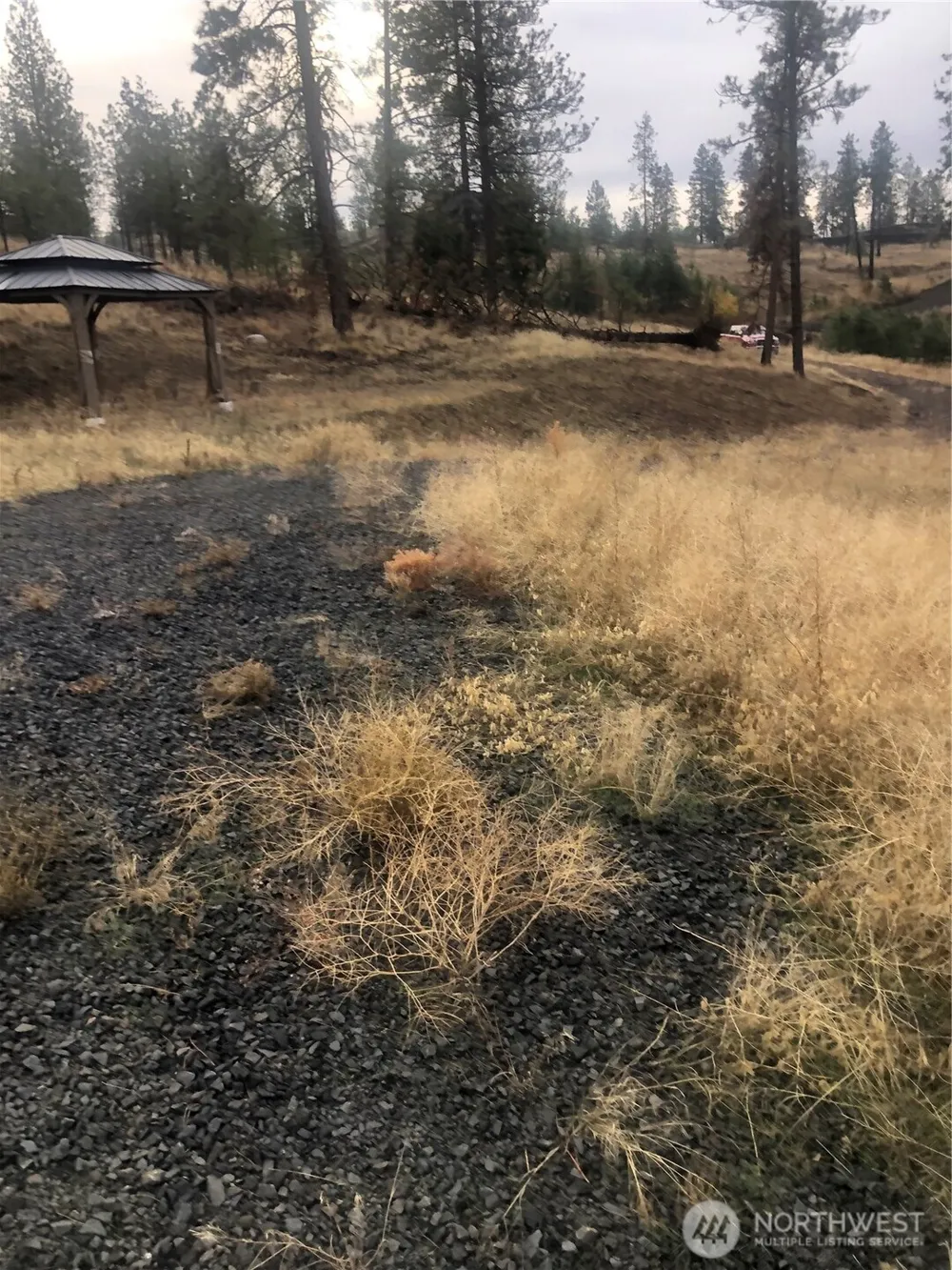 30991 Pine Hen Lane E Davenport, WA 99122