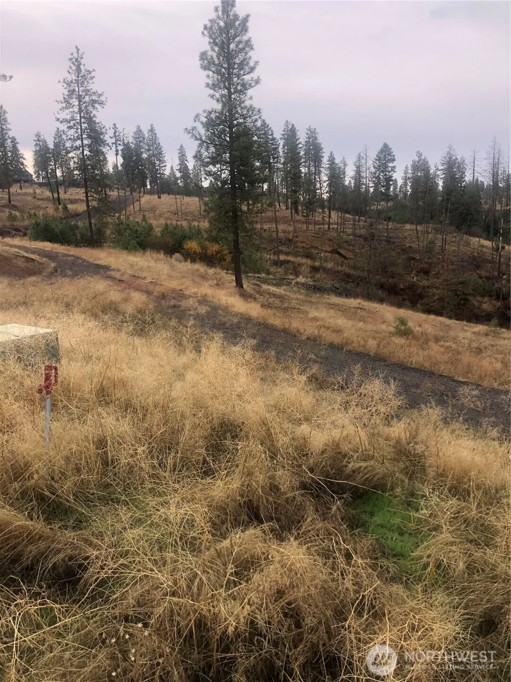 30991 Pine Hen Lane E Davenport, WA 99122
