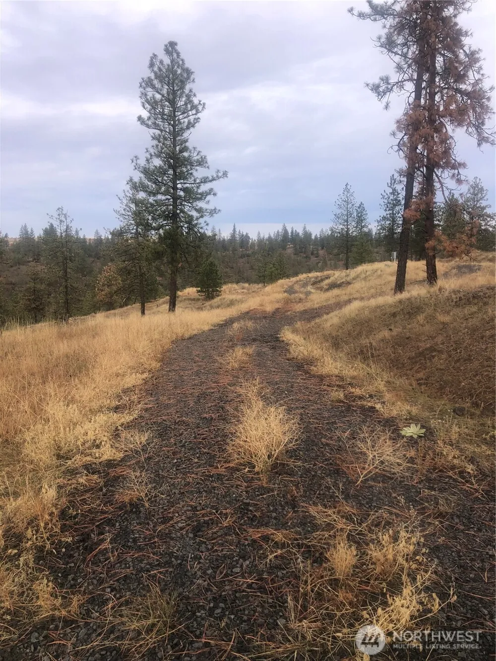 30991 Pine Hen Lane E Davenport, WA 99122