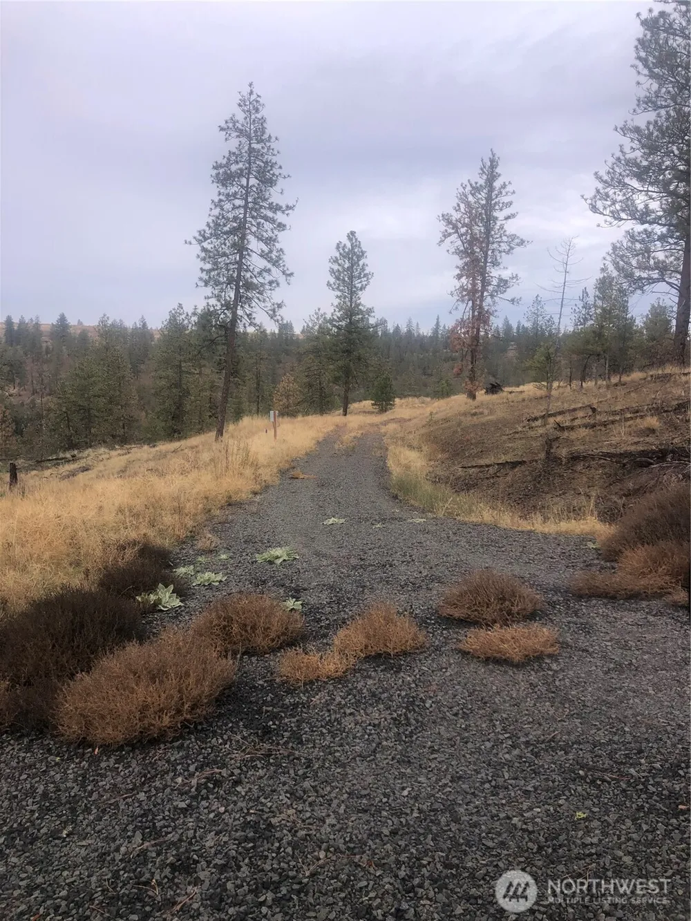 30991 Pine Hen Lane E Davenport, WA 99122