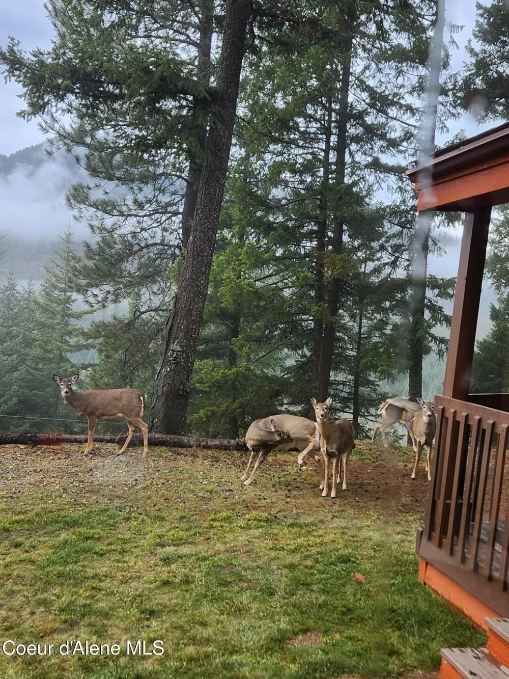325 Wambli Wahohpi Careywood, ID 83809