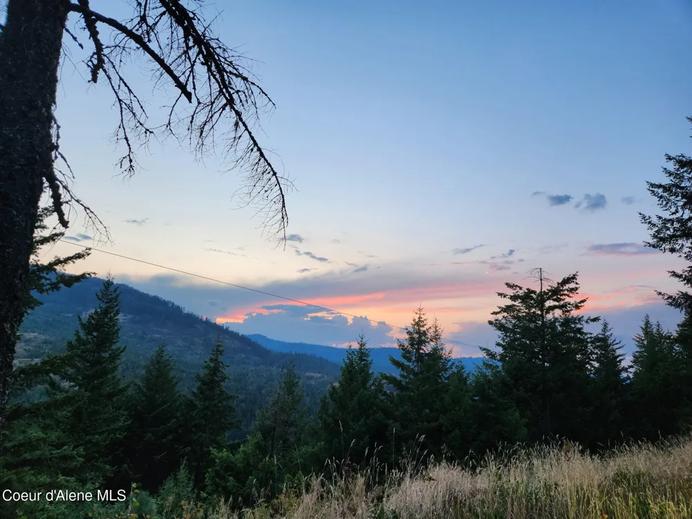 325 Wambli Wahohpi Careywood, ID 83809