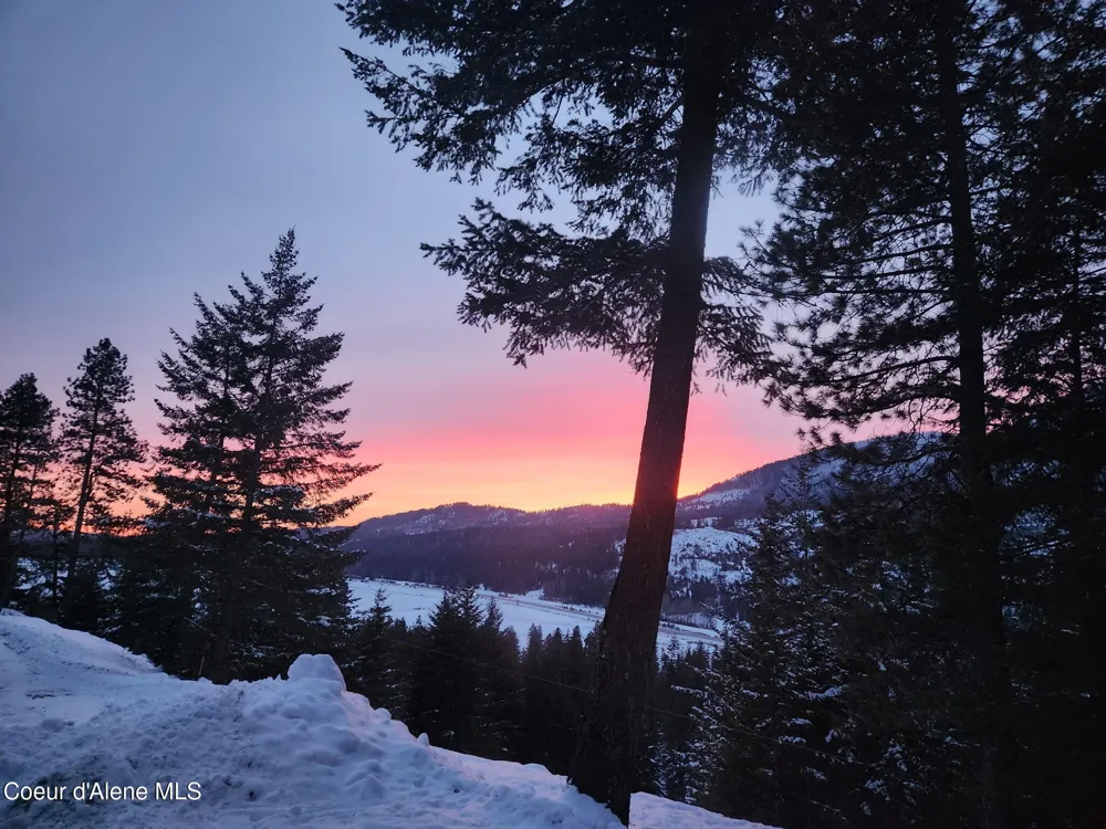 325 Wambli Wahohpi Careywood, ID 83809