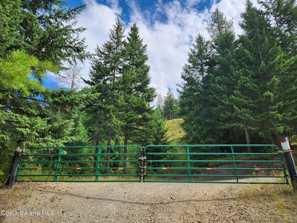 325 Wambli Wahohpi Careywood, ID 83809