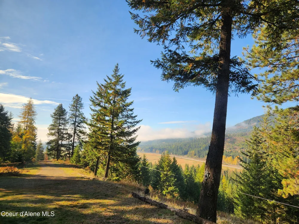 325 Wambli Wahohpi Careywood, ID 83809