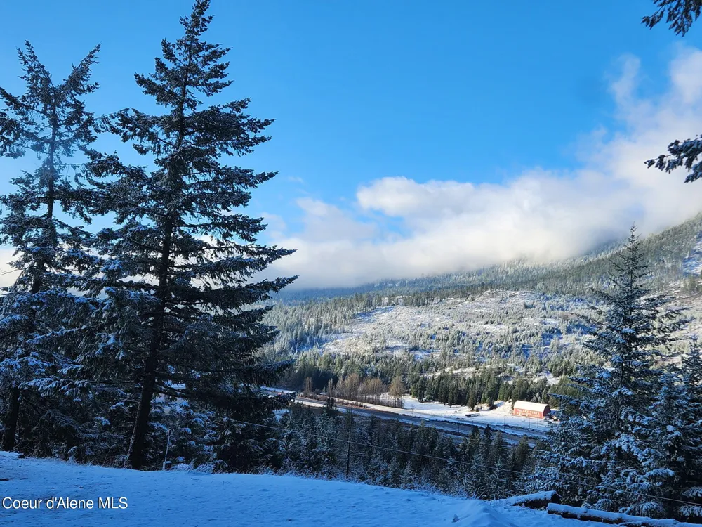 325 Wambli Wahohpi Careywood, ID 83809