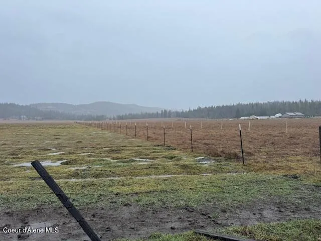 1928 Little Carpenter Creek Road Fernwood, ID 83830