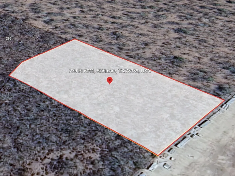239 Private Road #6011 Skidmore, TX 78389