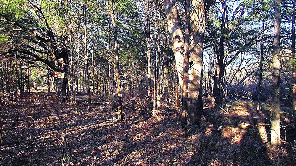 County Road 4736 Cumby, TX 75433