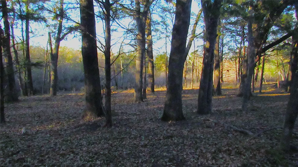 County Road 4736 Cumby, TX 75433