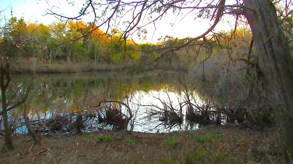 County Road 4736 Cumby, TX 75433
