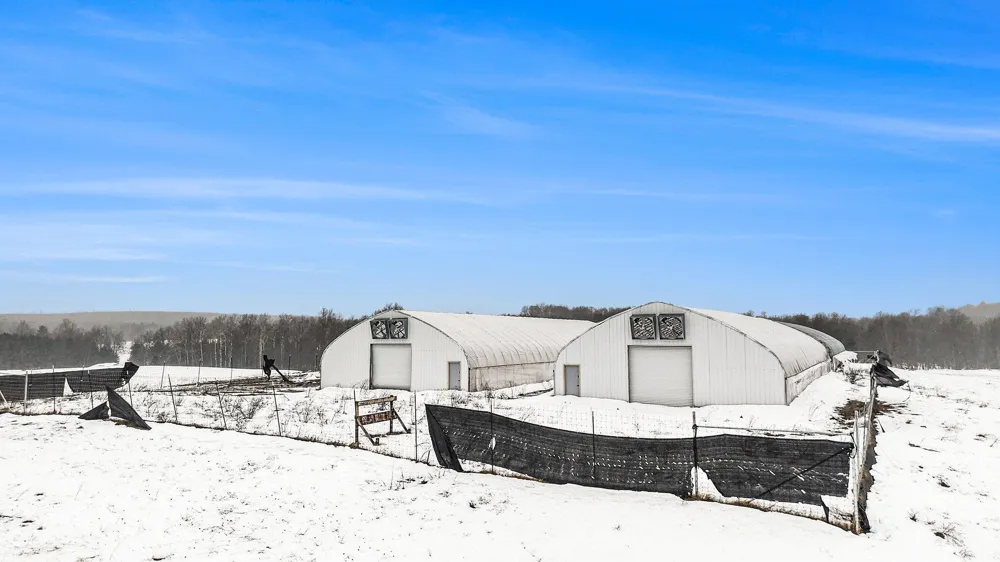 2957 State Road Luther, MI 49656