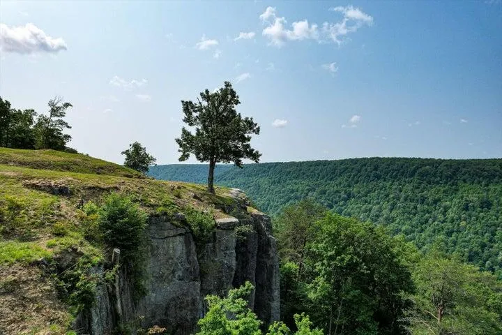 110 Falls Lane Spencer, TN 38585