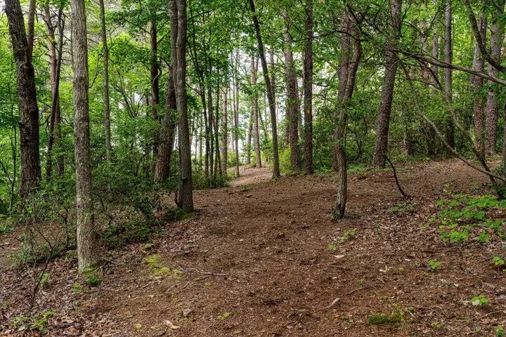 110 Falls Lane Spencer, TN 38585