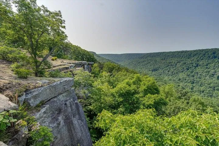 110 Falls Lane Spencer, TN 38585