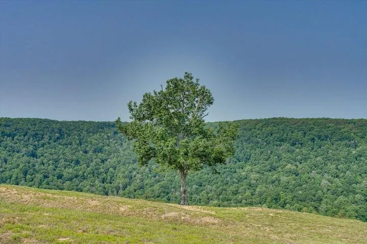 110 Falls Lane Spencer, TN 38585
