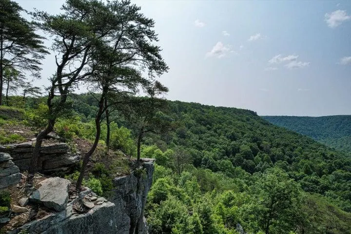 110 Falls Lane Spencer, TN 38585