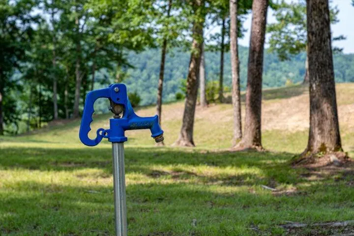 110 Falls Lane Spencer, TN 38585