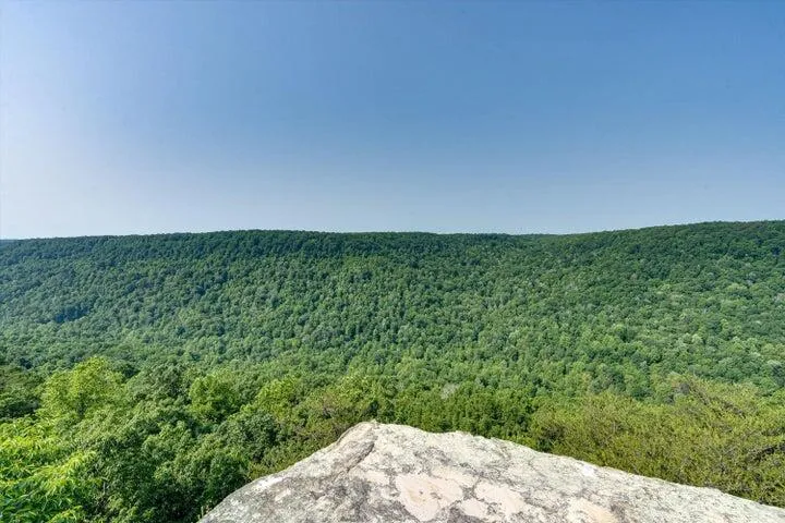 110 Falls Lane Spencer, TN 38585