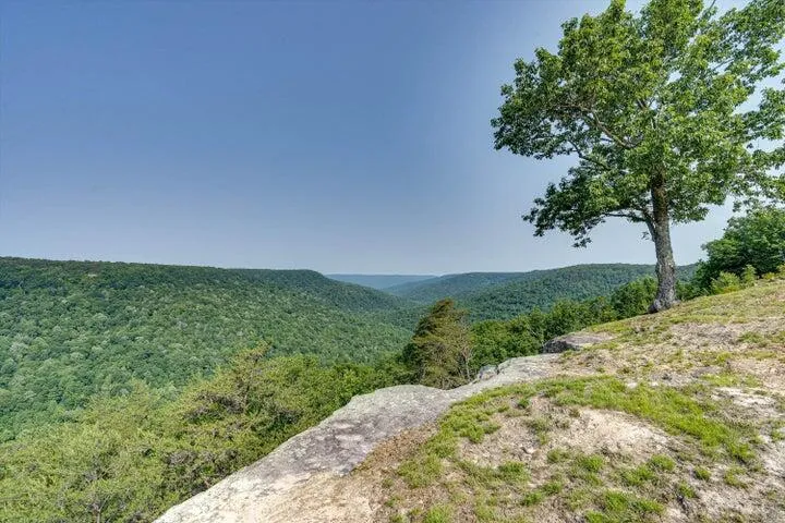 110 Falls Lane Spencer, TN 38585