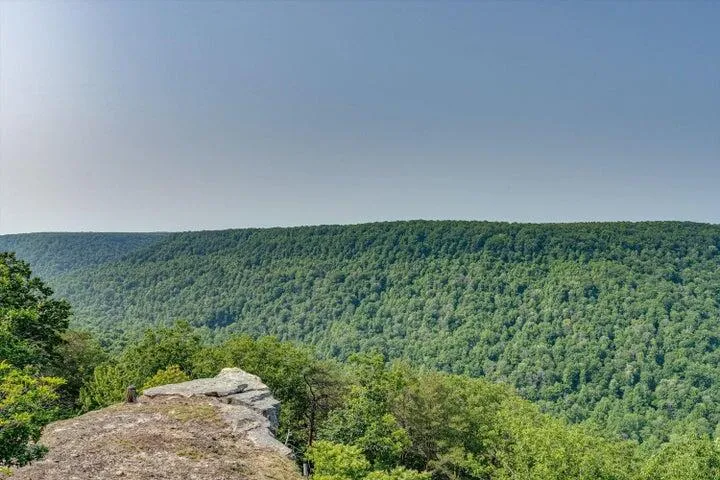 110 Falls Lane Spencer, TN 38585