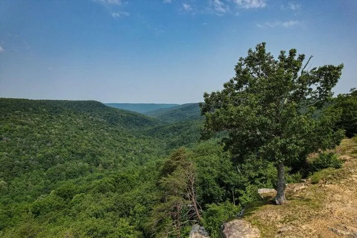 110 Falls Lane Spencer, TN 38585
