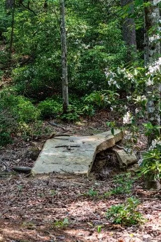110 Falls Lane Spencer, TN 38585