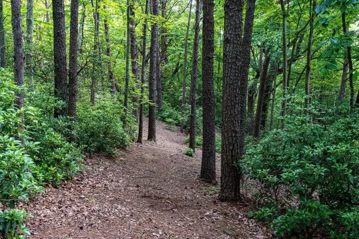 110 Falls Lane Spencer, TN 38585