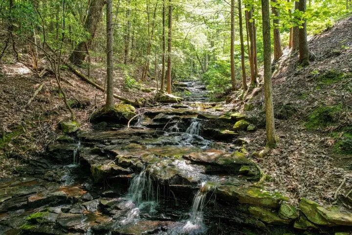 110 Falls Lane Spencer, TN 38585