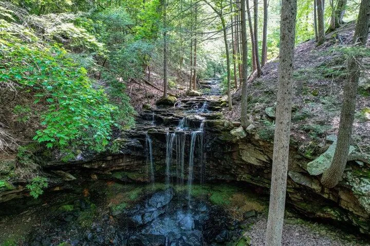110 Falls Lane Spencer, TN 38585