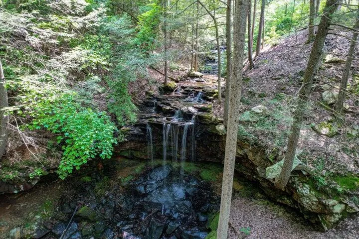 110 Falls Lane Spencer, TN 38585