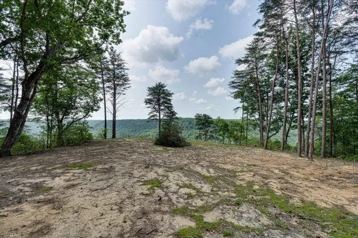 110 Falls Lane Spencer, TN 38585
