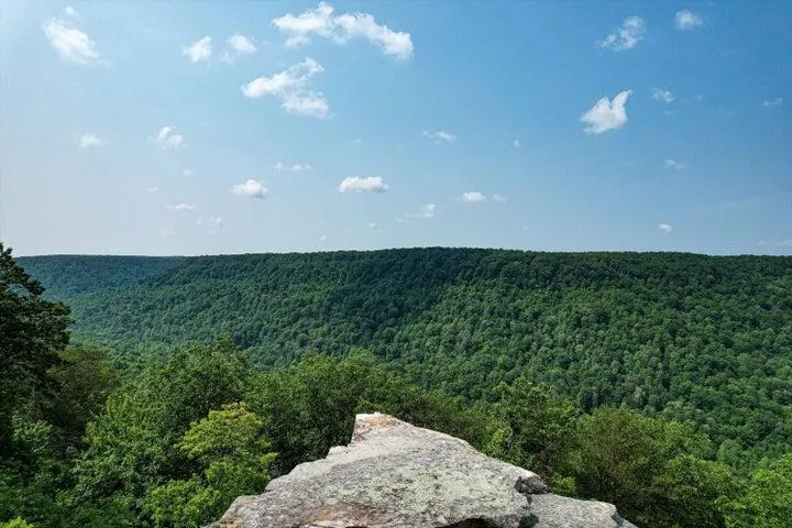 110 Falls Lane Spencer, TN 38585