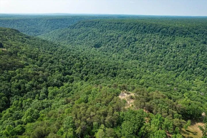 110 Falls Lane Spencer, TN 38585