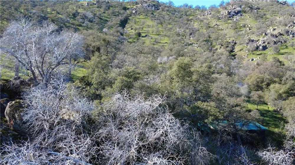 37087 Pebble Squaw Valley, CA 93675