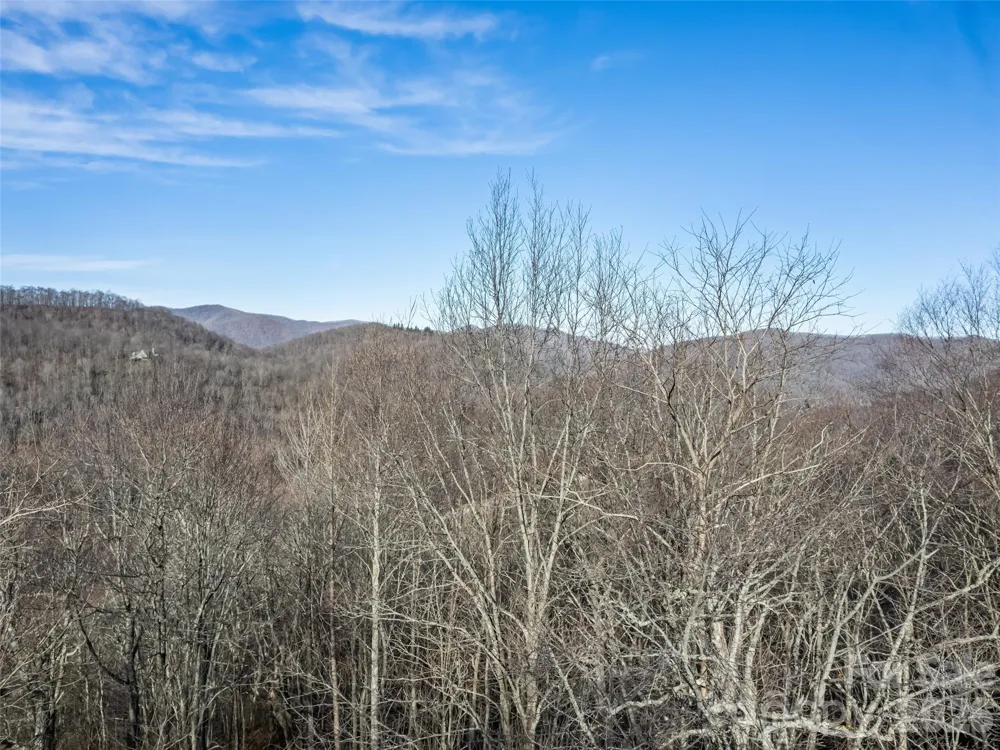 171 Sharons Bluff Franklin, NC 28734