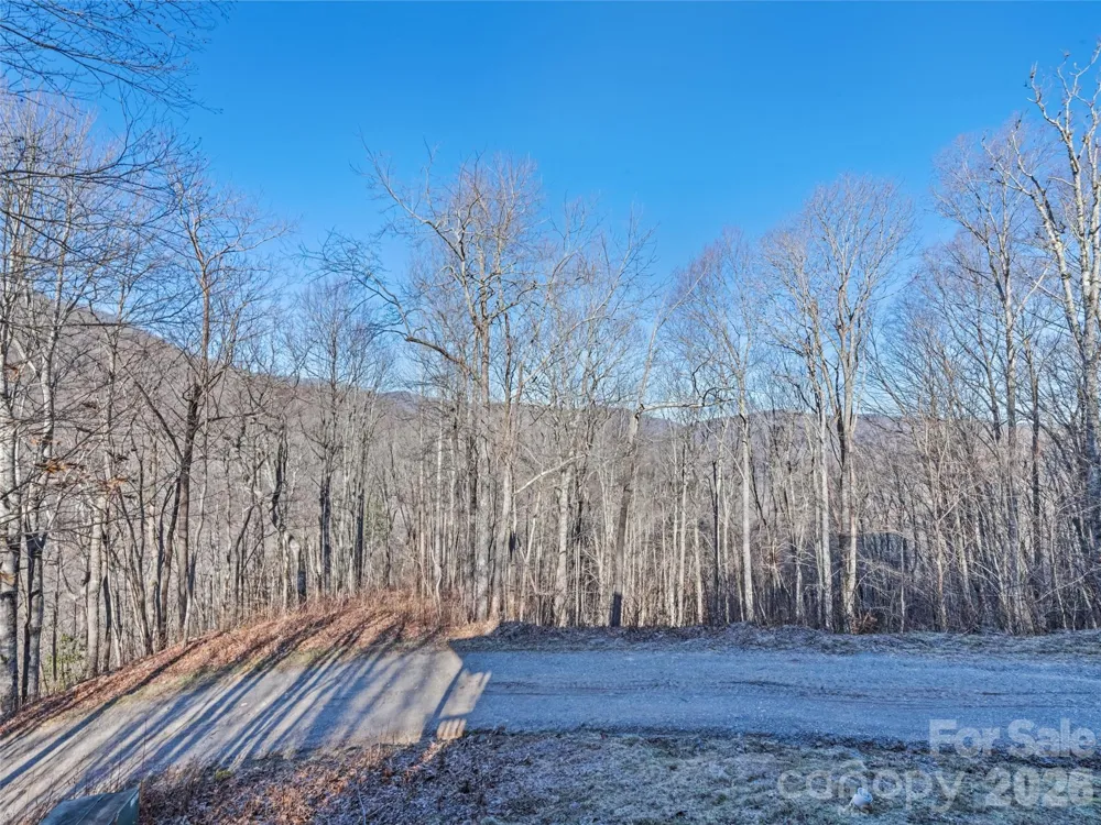 171 Sharons Bluff Franklin, NC 28734