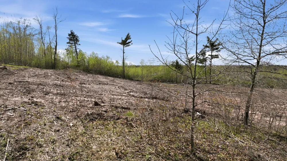 Lot 1 11th Avenue Chetek, WI 54728