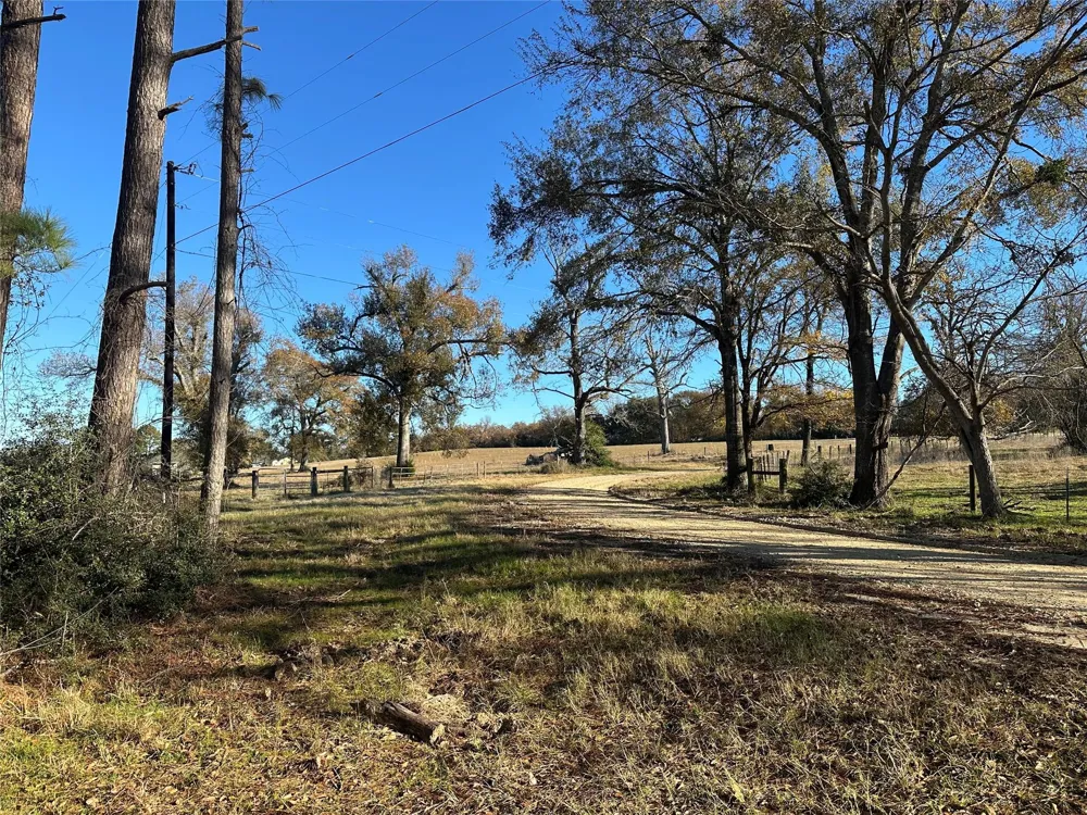 5604 County Road 364 Buffalo, TX 75831