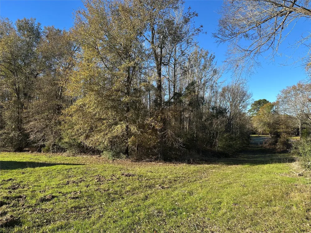 5604 County Road 364 Buffalo, TX 75831