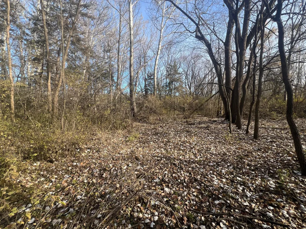 TBD 72nd St. SW Howard Lake, MN 55349