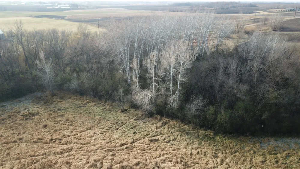 TBD 72nd St. SW Howard Lake, MN 55349