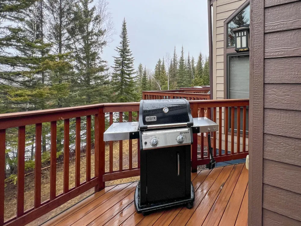 529 Moose Mountain Drive Lutsen, MN 55615
