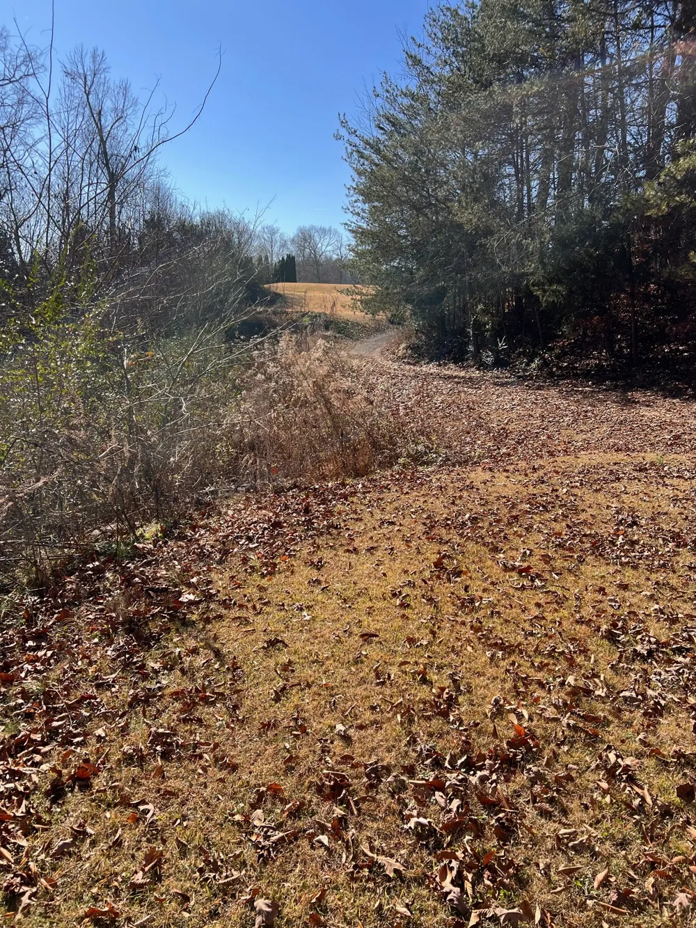 515 Old US Highway 28 Dunlap, TN 37327