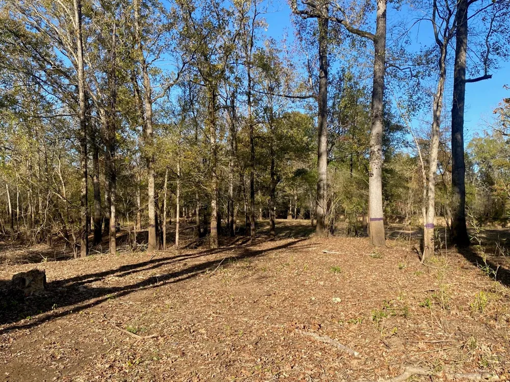 State Highway 94 Lufkin, TX 75904