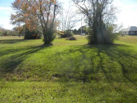 513 Begonia Lane