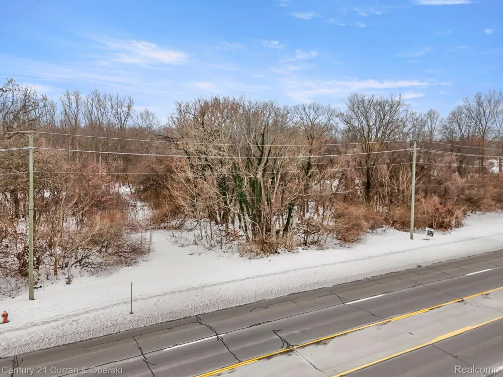 27597 Eureka Romulus City, MI 48174