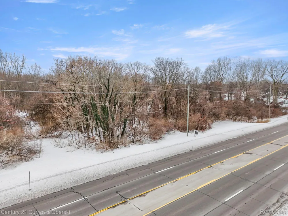 27597 Eureka Romulus City, MI 48174