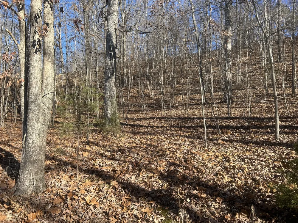0 Davis N Lake Access Rd Camden, TN 38320